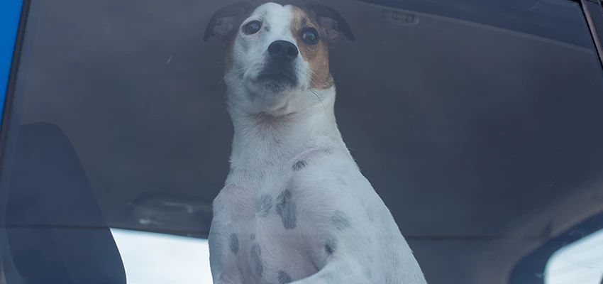 Car Lockout Solutions in West Athens, California